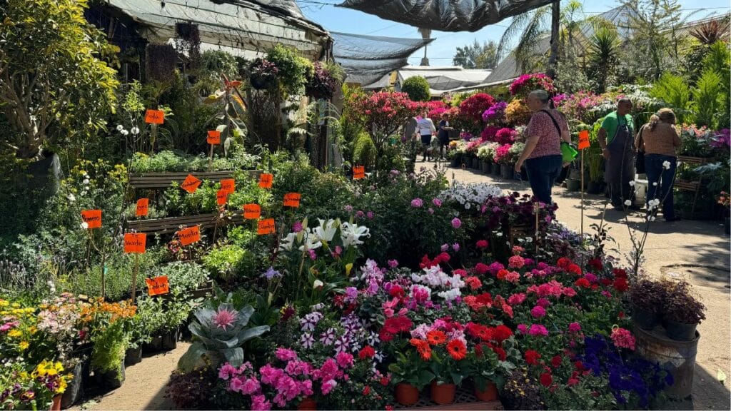 Jardín De Eventos Cuemanco