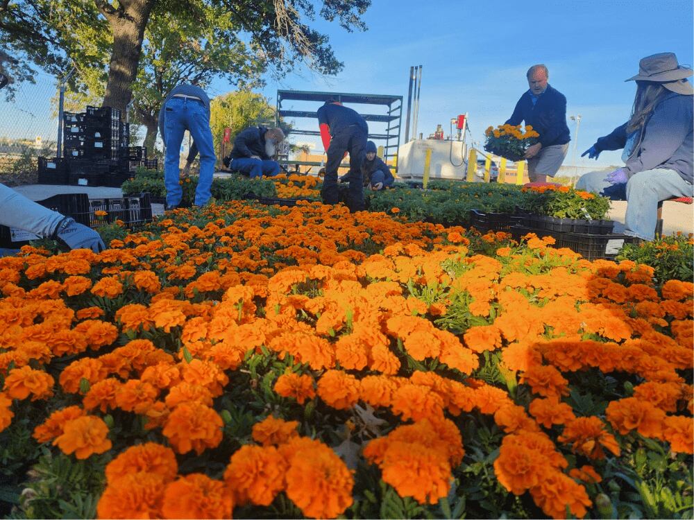 Jardín De Eventos Orange