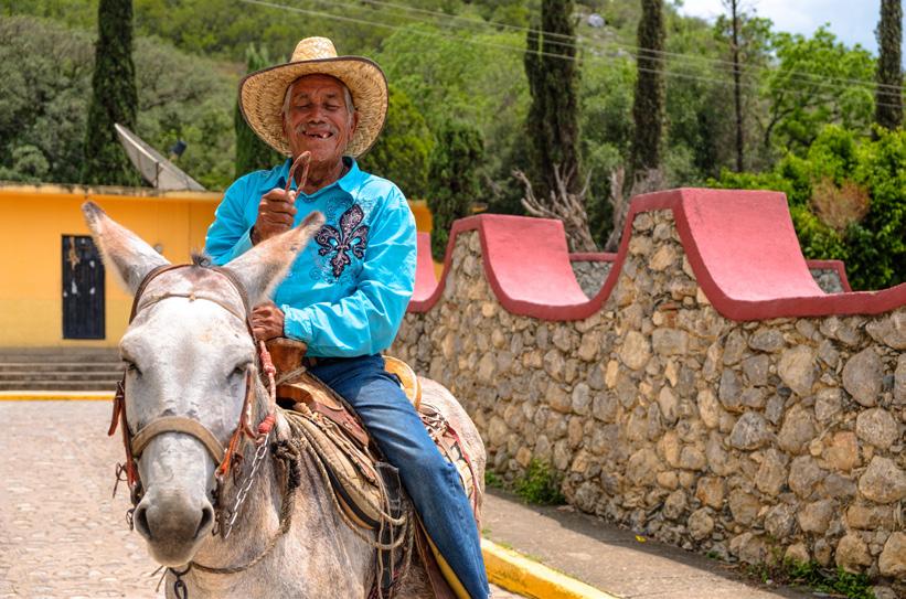 Jardín De Fiestas Infantiles El Patio De Mi Casa Cimatario