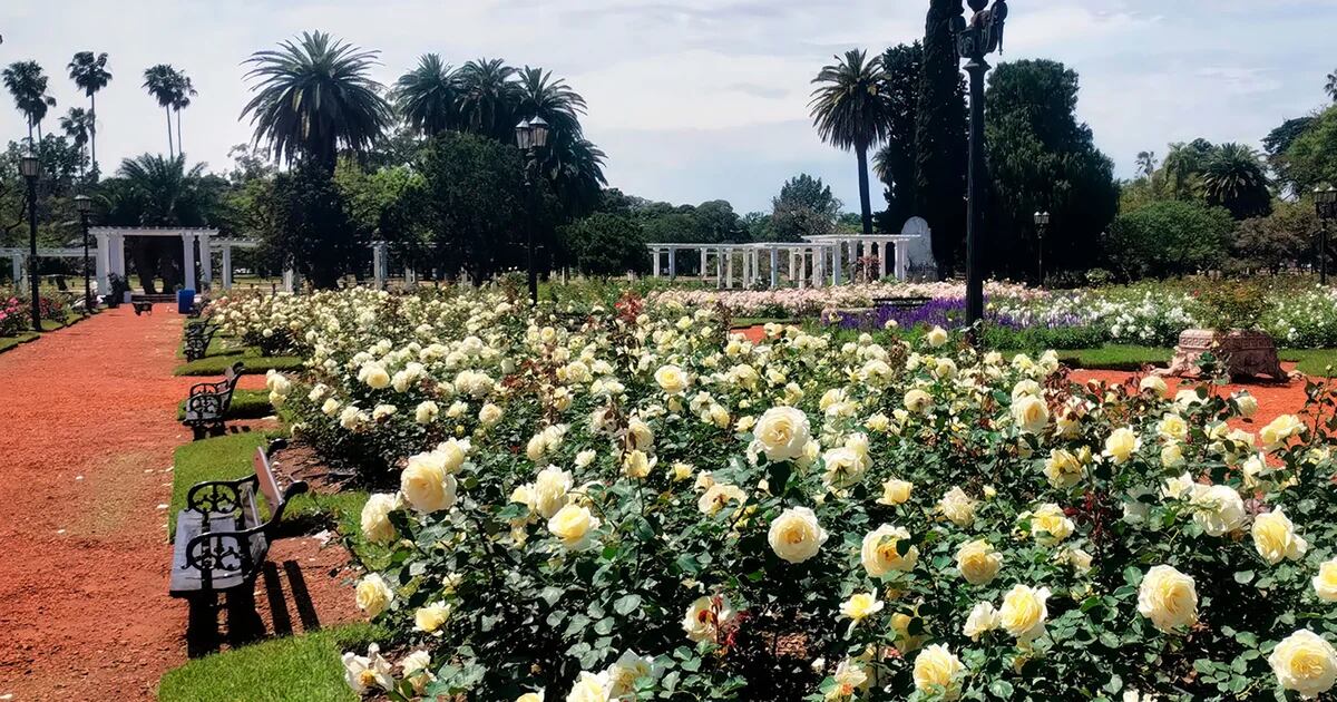 Jardín Rosedhán