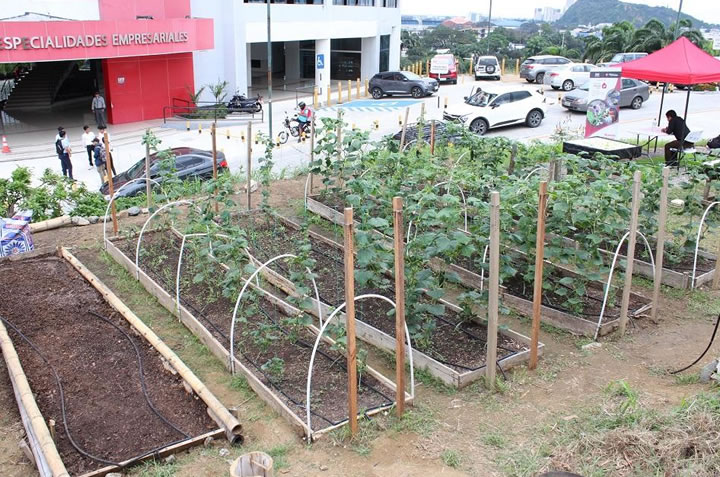 "La Siembra" Jardín De Eventos Infantiles