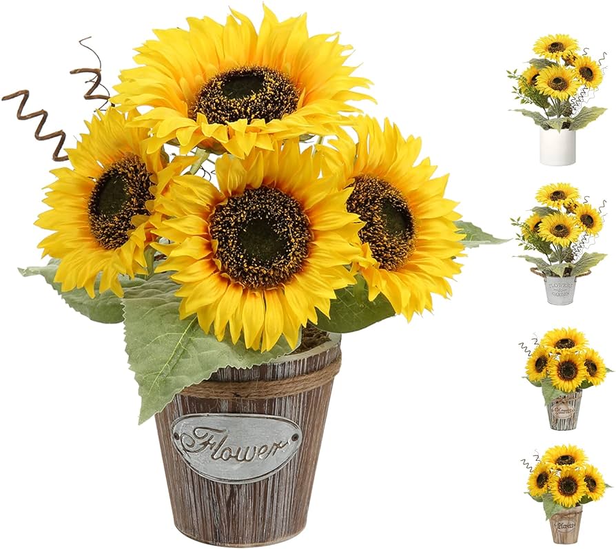 Salon De Fiestas "Los Girasoles"