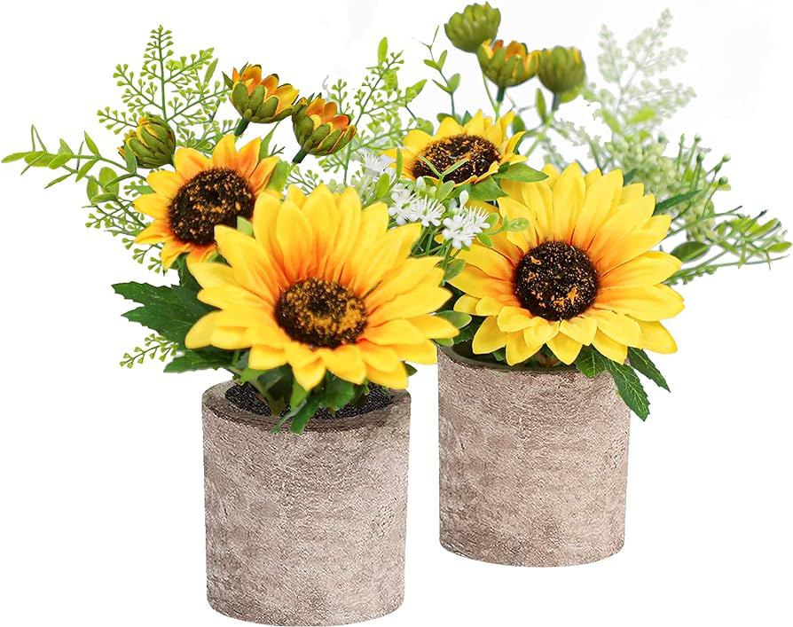 Salón Para Fiestas Los Girasoles