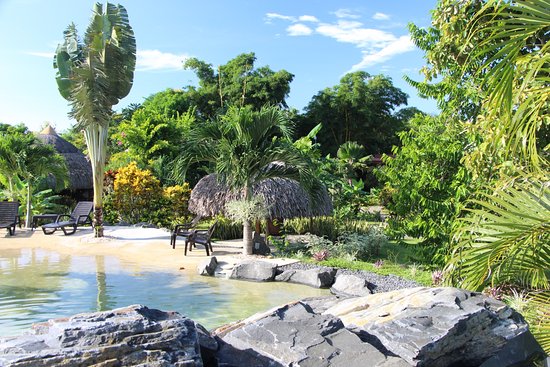 Salón Y Jardín "El Colibrí"